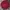 The North Face Vintage Casual Polo Shirt Pria Red