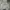 Nike Vintage Streetwear Hoody Pria gray photo 1