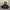 Beverly Hills Polo Club Vintage Streetwear Puffer jacket Pria tan photo 3