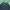 Streetwear Sportswear T-shirt Pria green navy photo 2