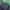 Streetwear Sportswear T-shirt Pria green navy photo 3