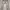 Futurist Casual Jeans Pria silver gray photo 2