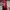 Le Coq Sportif Sportswear Bag Pria red black photo 6