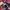 Skater Casual Harrington jacket Pria burgundy photo 7