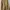Jack & Milly Luxury Parka Pria tan khaki photo 2