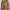 Jack & Milly Luxury Parka Pria tan khaki photo 1