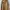 Jack & Milly Luxury Parka Pria Tan Khaki