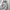 Nike Sportswear Windbreaker Pria white gray photo 1