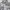 Nike Sportswear Windbreaker Pria white gray photo 8