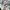 Nike Sportswear Windbreaker Pria white gray photo 6