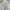 Patagonia Sportswear Casual T-shirt Pria white photo 4