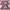 Coquette Cardigan Wanita multicolor photo 6