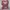 Coquette Cardigan Wanita multicolor photo 2