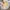 Casual Sweatshirt Wanita yellow photo 1