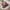 Coquette Sweatshirt Wanita multicolor photo 2
