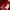 Adidas Sportswear Jersey Pria red photo 3