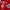 Adidas Sportswear Jersey Pria red photo 6
