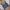 Casual Sweatshirt Wanita multicolor photo 5