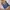 Casual Sweatshirt Wanita multicolor photo 6
