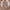 Casual Sweatshirt Wanita tan brown photo 1