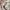 ZARA Casual Sweatshirt Wanita tan photo 5