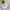 ZARA Casual Sweatshirt Wanita tan photo 4