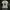 Y2K Emo T-shirt Pria white photo 1