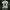 Y2K Emo T-shirt Pria White