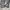 Y2K Skater Sweatpants & Joggers Pria gray photo 5