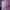 Puma Vintage Casual T-shirt Wanita purple photo 2