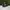 VANS Skater Casual Sneakers Pria white black photo 3