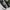 VANS Skater Casual Sneakers Pria white black photo 2