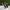 VANS Skater Casual Sneakers Pria white black photo 1