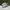 Adidas Casual Sneakers Pria white tan photo 3