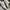 Adidas Casual Sneakers Pria white tan photo 2