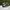 Adidas Casual Sneakers Pria white black photo 3