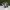 Adidas Casual Sneakers Pria white black photo 1