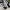 Adidas Casual Sneakers Pria white black photo 2