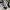 Adidas Casual Sneakers Pria White Black