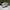Adidas Casual Sneakers Pria white black photo 3