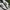 Adidas Casual Sneakers Pria White Black