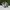 Adidas Casual Sneakers Pria white green photo 1