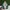 Adidas Casual Sneakers Pria white green photo 4