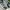 Adidas Casual Sneakers Pria white green photo 2