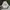 Adidas Casual Sneakers Pria white pink photo 4