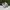 Adidas Casual Sneakers Pria white gray photo 1