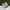Adidas Casual Sneakers Pria White Gray