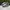 Adidas Casual Sneakers Pria white gray photo 3
