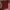 Adidas Sportswear T-shirt Pria Red