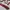 Vintage Pria white red photo 4
